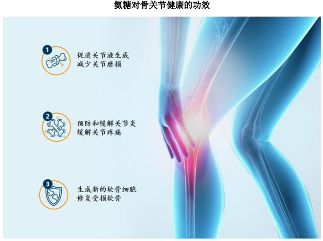 扎根运动健康赛道凭多元布局赢长远未来瓦力棋牌试玩HMB全球龙头技源集团：(图5)