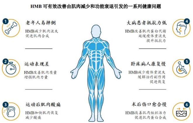 扎根运动健康赛道凭多元布局赢长远未来瓦力棋牌试玩HMB全球龙头技源集团：(图6)